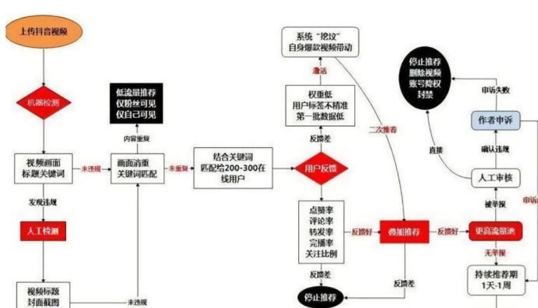新手輕松快速掌握抖音推薦算法核心技巧-第2張圖片-小七抖音培訓(xùn)